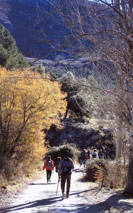 Turismo Rural
